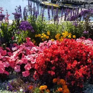 Meet your Posher, Melky